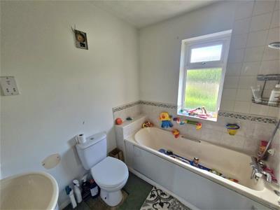 Picture 14